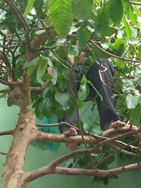 Hospedagem domiciliar Quarto Em Casa Atelie Com Sol No Quintal